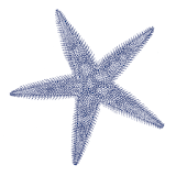 Starfish Vacation Rentals icon