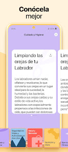 Imagen de la captura de pantalla