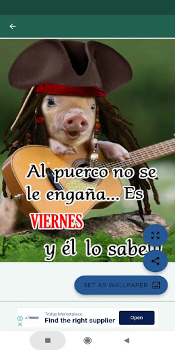 Saludos divertidos para reír Screen 3