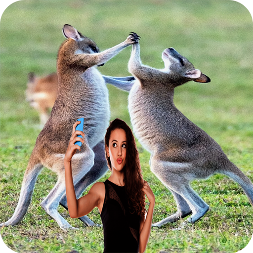 Selfi With Kangaroo - Wallpape 1.0 Icon