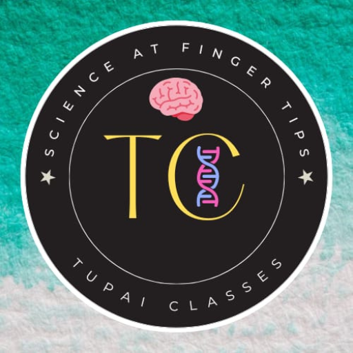 Tupai Classes logo