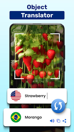 Tradutor e Teclado Português
