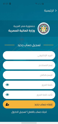 Egyptian Ministry of Finance Screen 3