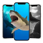 Cover Image of Download Shark wallpaper  APK