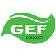GEF Connect Laai af op Windows
