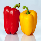 Vegetable matching game