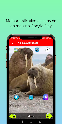 Animais Falantes – Apps no Google Play