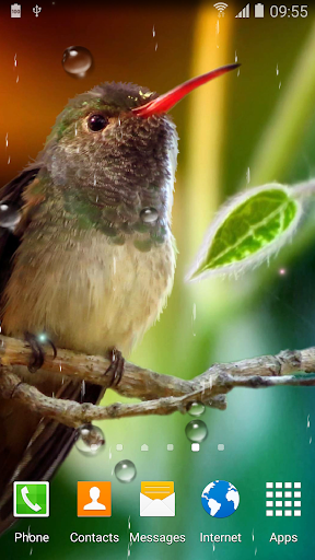 Android application Hummingbirds Live Wallpaper screenshort