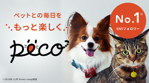 PECO TV(ペコティービー):いぬねこペット動画 Screenshot 1 - AppWisp.com
