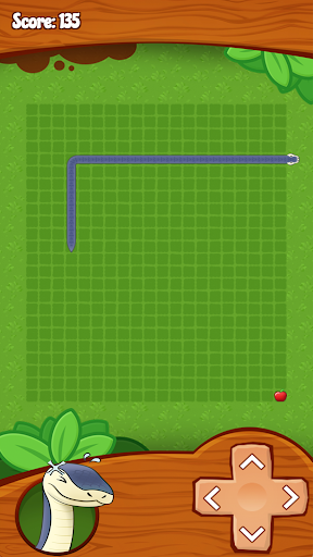 Classic Snake Screen 3