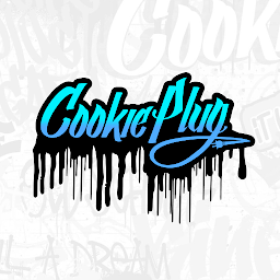 Cookie Plug: Download & Review