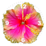 Hibiscus Clock Apk