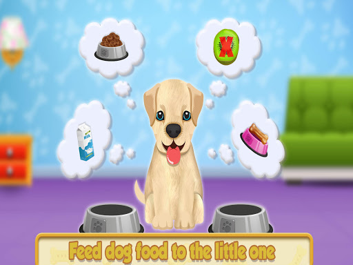 Cute Pet Dog Training Care Screen 2