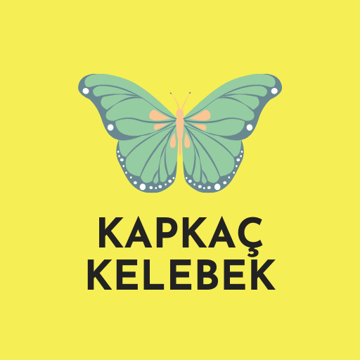 KAPKAÇ KELEBEK logo