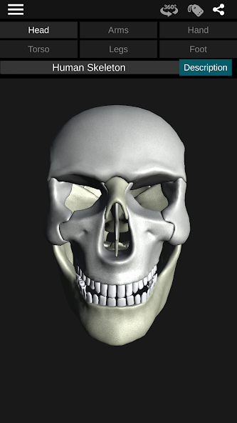 Osseous System in 3D (Anatomy) 3.5.4 APK + Mod (Unlimited money) إلى عن على ذكري المظهر