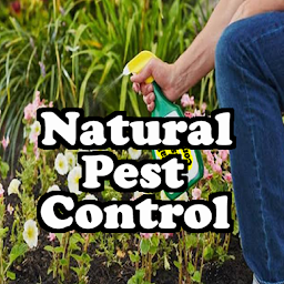 图标图片“Natural Pest Control”
