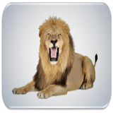 Lion sounds icon