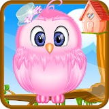 Baby Owl Care icon