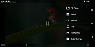 4K Video Player Screenshot