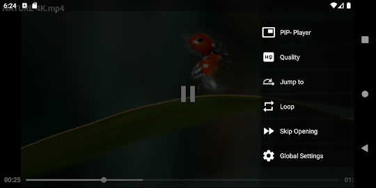 4K Video Player