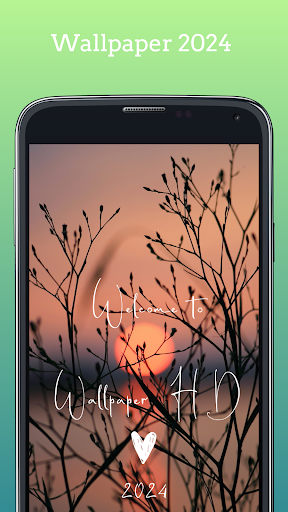 Android application Wallpaper HD 2024 screenshort
