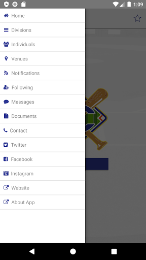 Charlestown Little League Screen 2