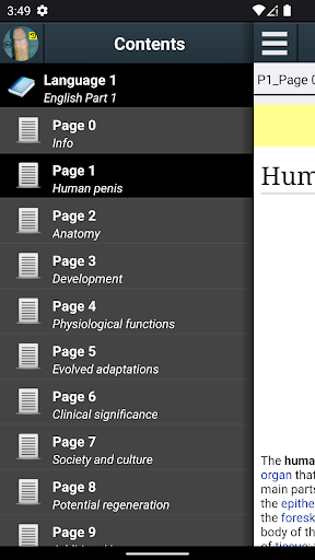 App preview