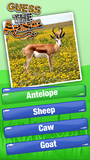Android application Guess The Animal Quiz Games screenshort