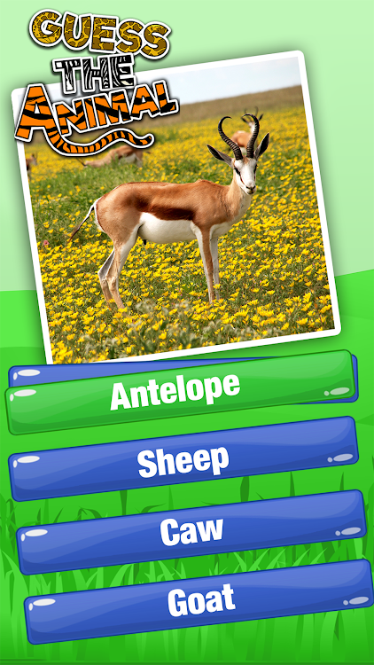 Guess The Animal Quiz Games - 7.0 - (Android)