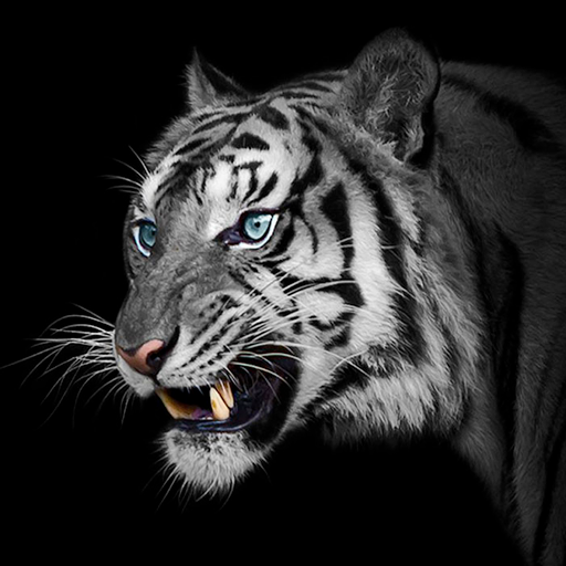 White Tiger Wallpapers - Apps on Google Play