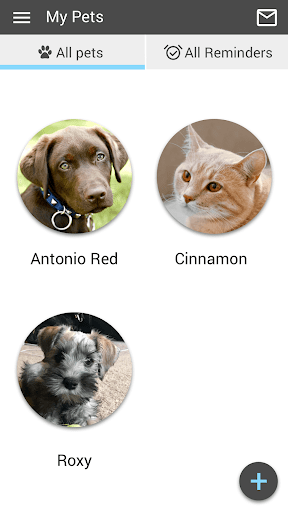 Stones River Vet Screen 3