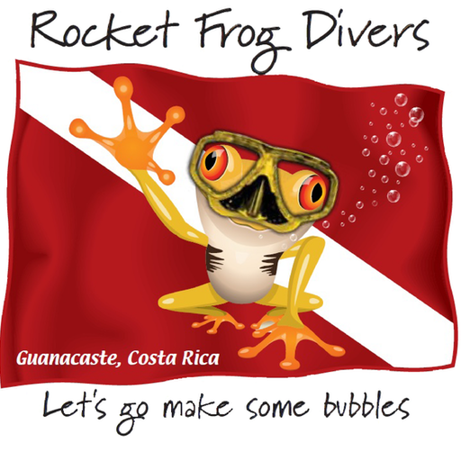 Rocket Frog Divers logo