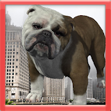 Amazing Bulldog Simulation icon