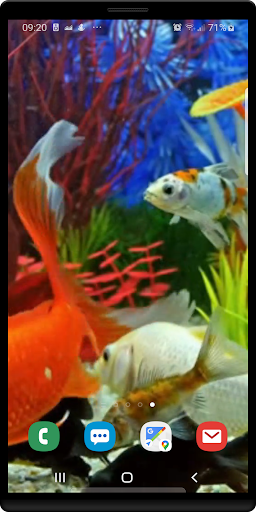Aquarium Live Wallpaper Screen 2
