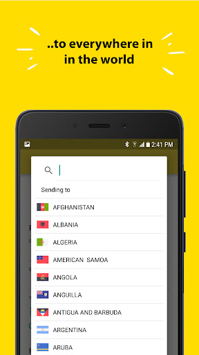 PayLink Money Transfer Screen 2