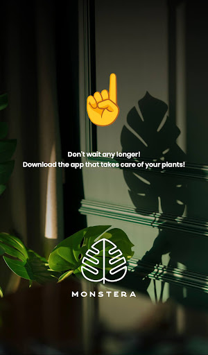 Monstera - Plant guide screenshot 11