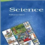 6th Science Notes Apk