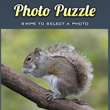 Puzzle Squirrel Game icon