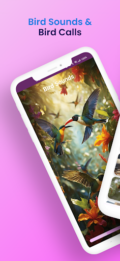 Android application Bird Sounds & Bird Calls screenshort