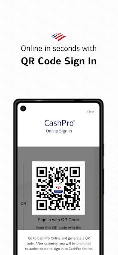 Screenshot of CashPro