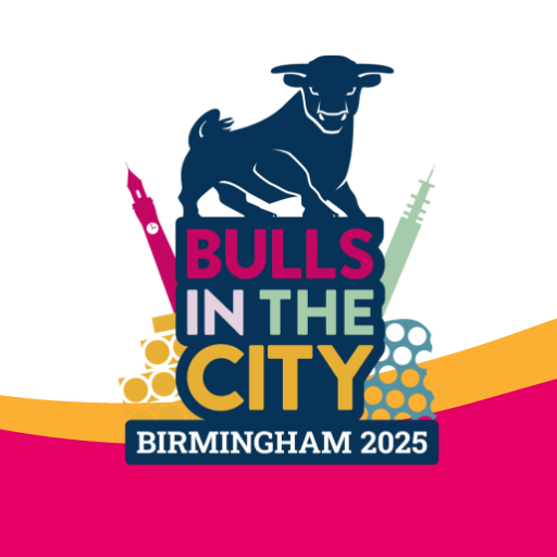 Bulls in the City Download on Windows