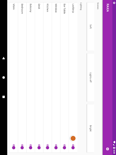 Raxa Screen 2