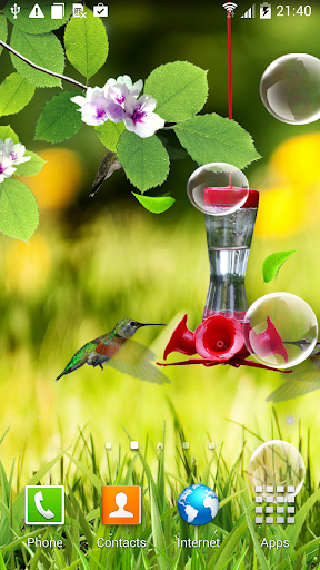 Hummingbirds wallpaper Screen 2