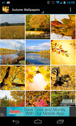 Android application Autumn Wallpapers screenshort