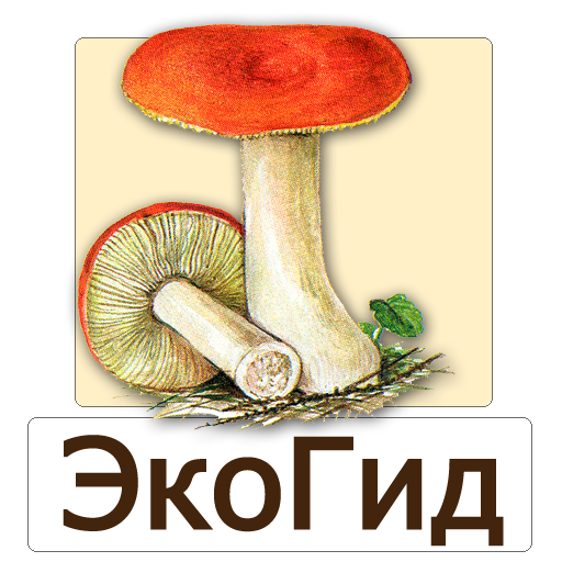 EcoGuide: Russian Mushrooms  Icon
