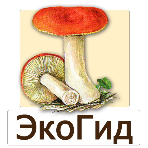 EcoGuide: Russian Mushrooms logo