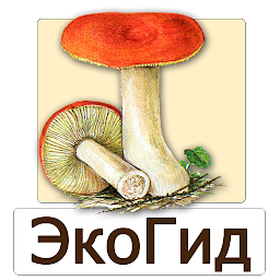 Icon image EcoGuide: Russian Mushrooms