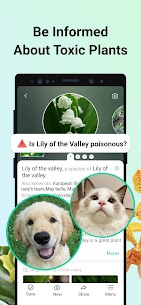 PictureThis Apk [Mod Features All Unlocked] 3