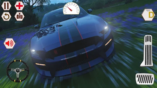 Race Ford Shelby GT Simulator