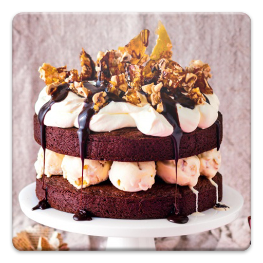 Chocolate Cake Recipes  Icon